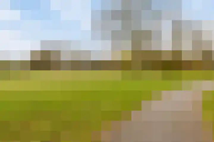Mauritslaan 42 Best thumbnail 63