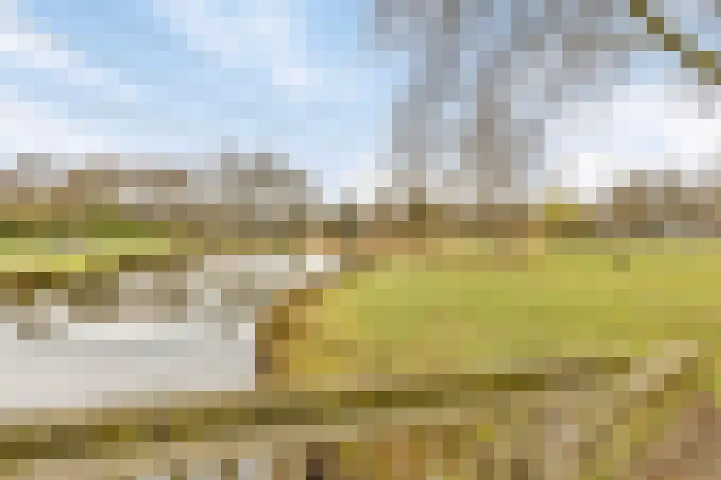 Mauritslaan 42 Best thumbnail 65