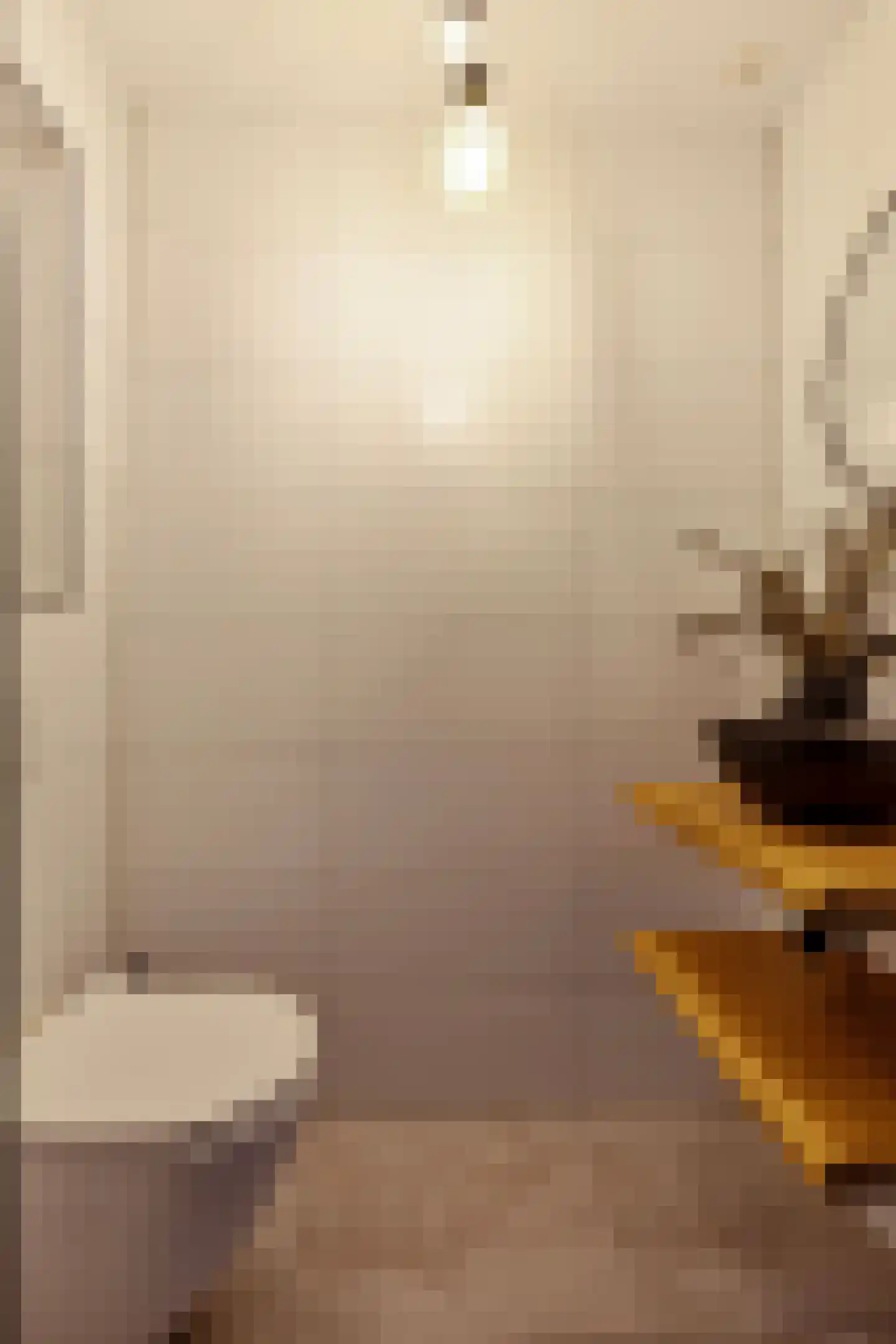Mauritslaan 42 Best thumbnail 8