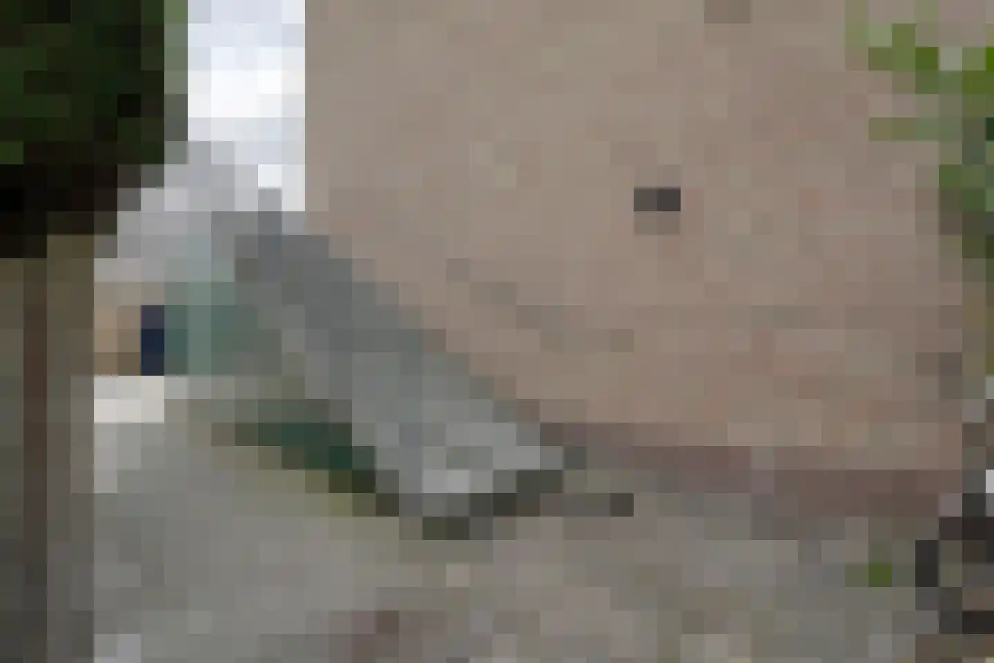 Mauritslaan 46 Hillegom thumbnail 7