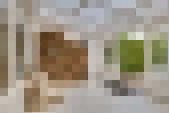 Mauritslaan 48 Geleen thumbnail 11
