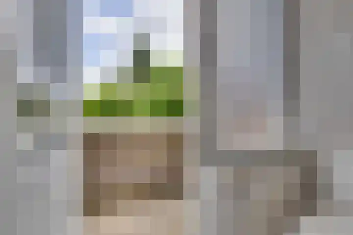 Mauritslaan 48 Geleen thumbnail 24