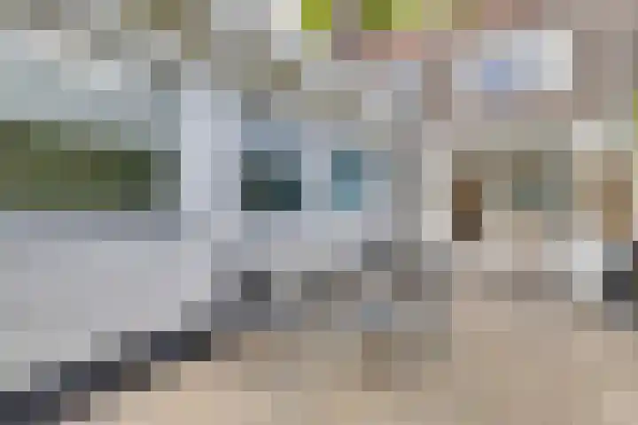 Mauritslaan 48 Geleen thumbnail 29