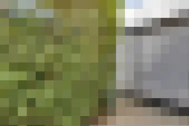 Mauritslaan 48 Geleen thumbnail 31