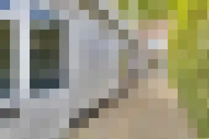 Mauritslaan 48 Geleen thumbnail 32