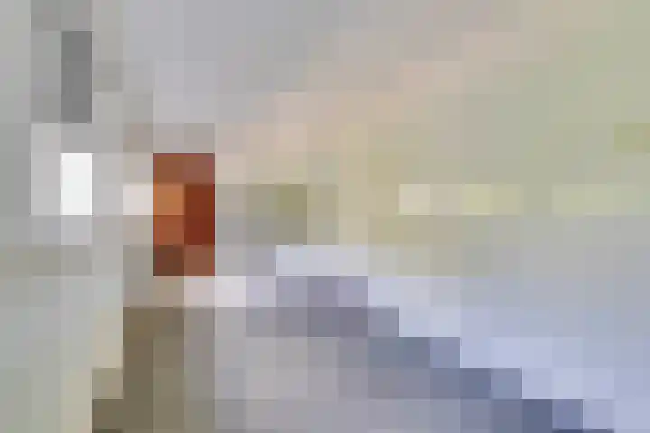 Mauritslaan 48 Geleen thumbnail 33