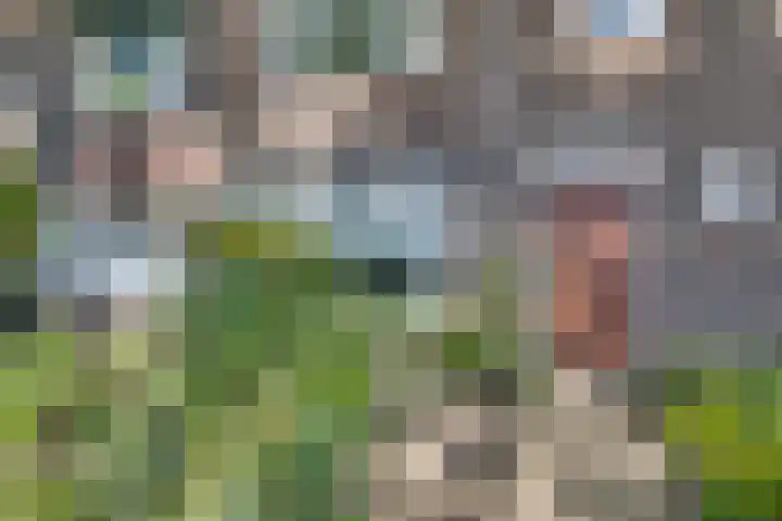 Mauritslaan 48 Geleen thumbnail 40