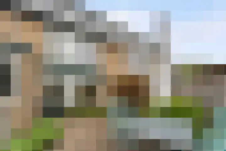 Mauritslaan 50 De Meern thumbnail 19