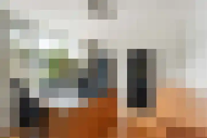 Mauritslaan 50 De Meern thumbnail 36