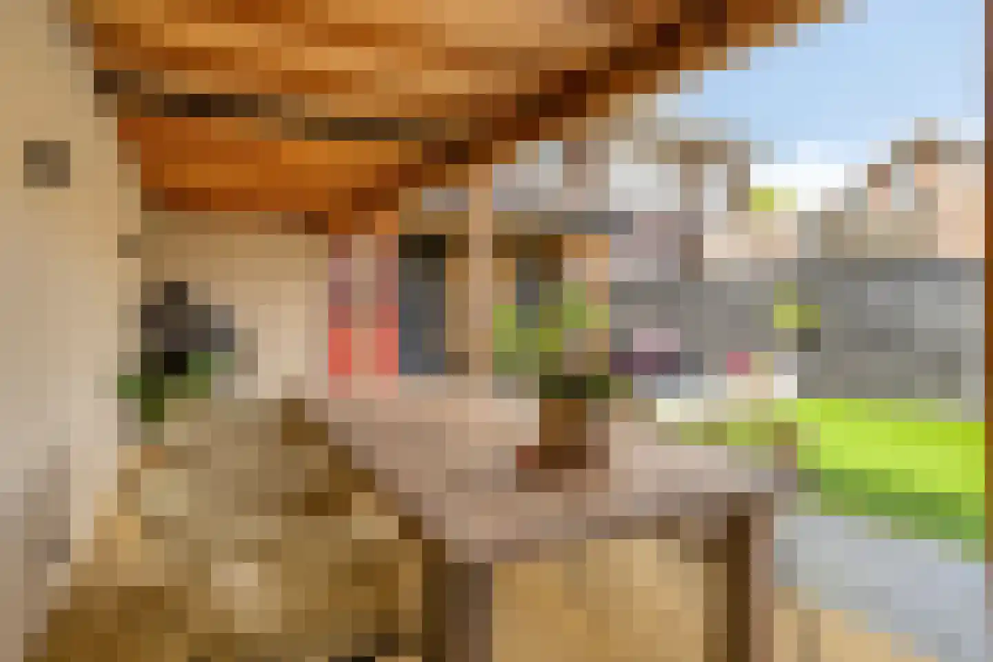 Mauritslaan 51 Heerenveen thumbnail 36