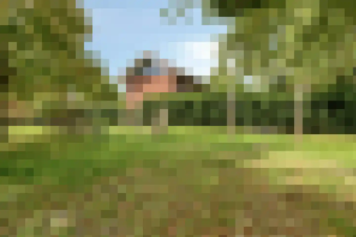 Mauritslaan 51 Heerenveen thumbnail 37