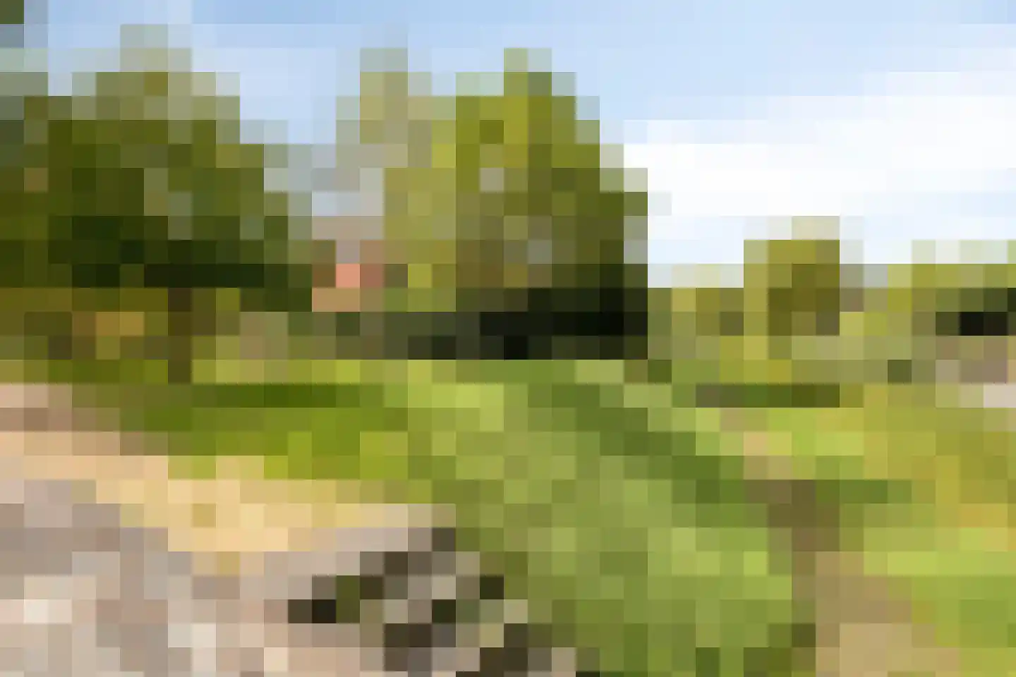 Mauritslaan 51 Heerenveen thumbnail 38