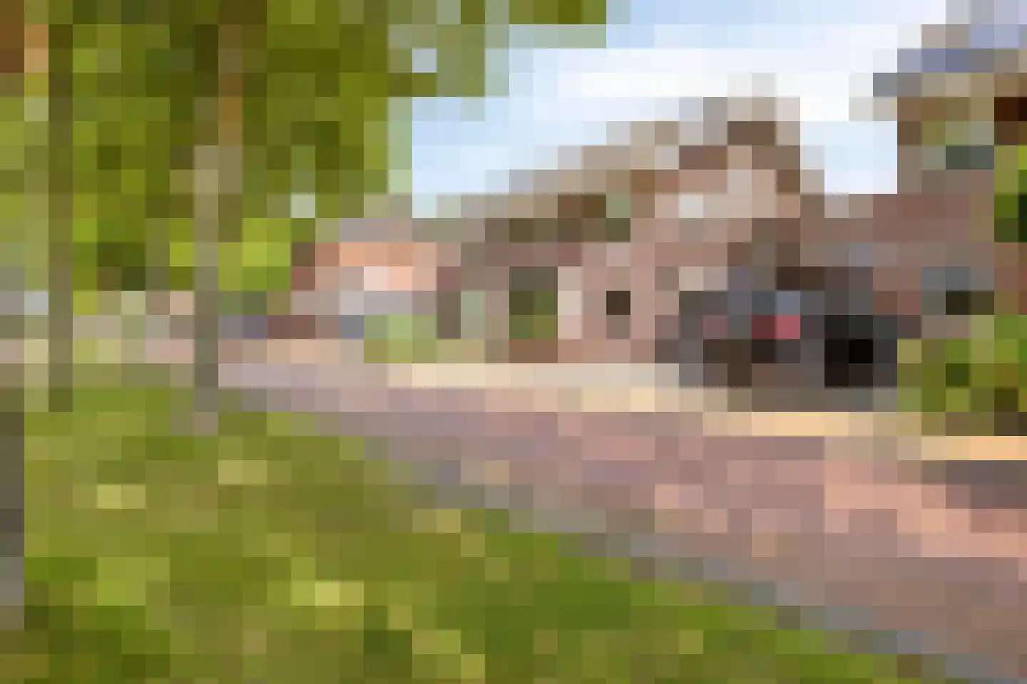 Mauritslaan 51 Heerenveen thumbnail 6