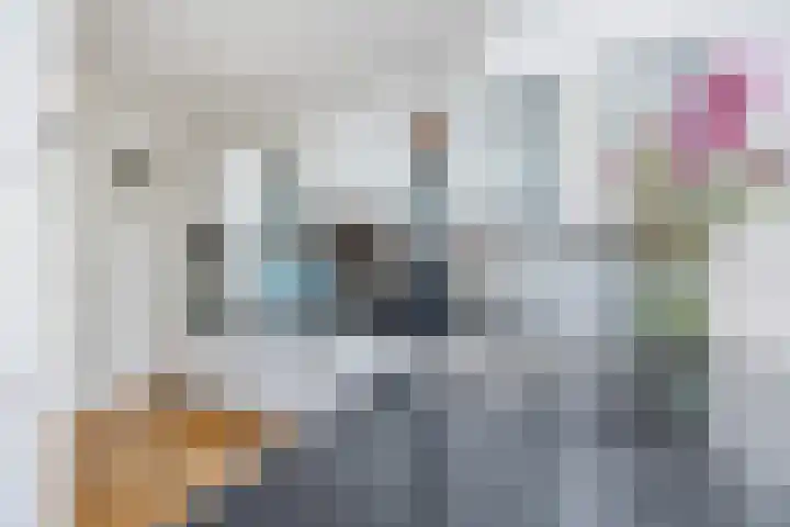 Mauritslaan 52 Rijswijk thumbnail 15