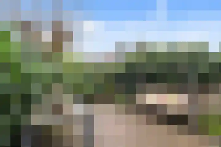 Mauritslaan 52 Rijswijk thumbnail 19