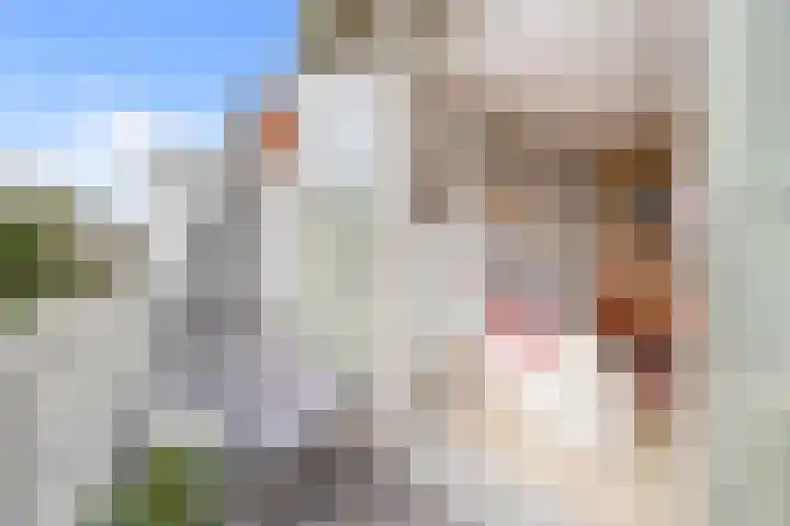 Mauritslaan 52 Rijswijk thumbnail 28
