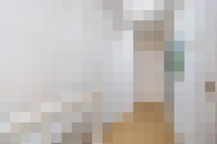 Mauritslaan 52 Rijswijk thumbnail 33