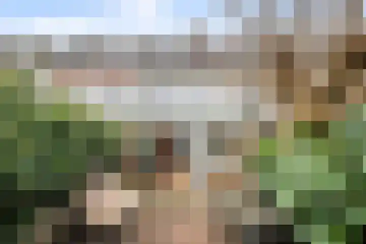 Mauritslaan 52 Rijswijk thumbnail 4
