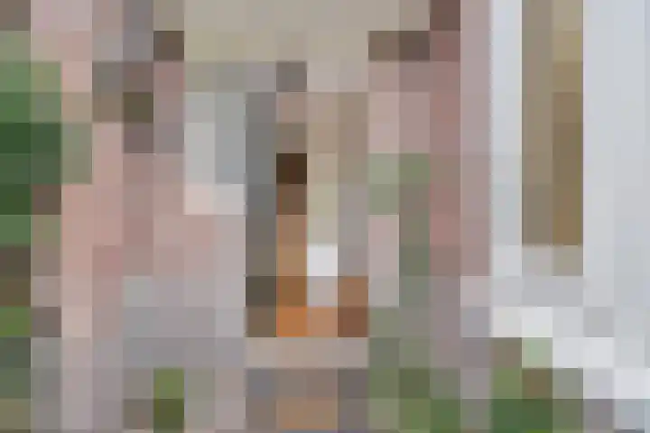 Mauritslaan 52 Rijswijk thumbnail 5