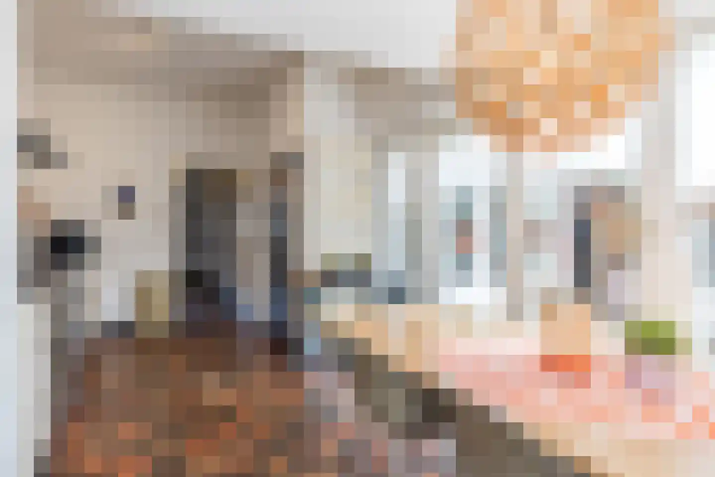 Mauritslaan 57 Geleen thumbnail 16