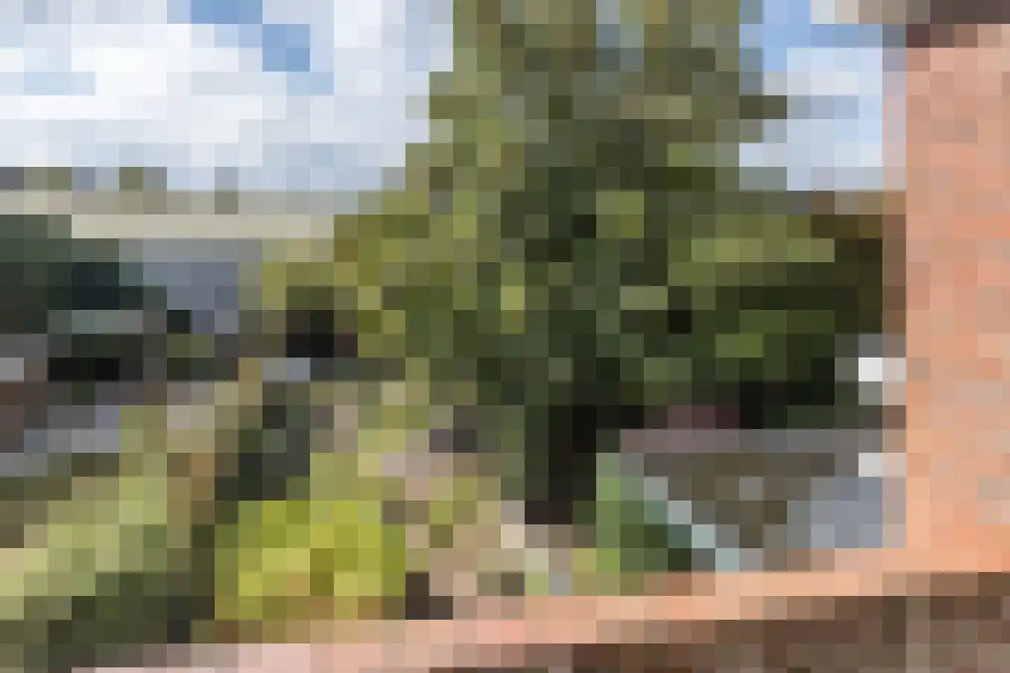 Mauritslaan 57 Geleen thumbnail 37