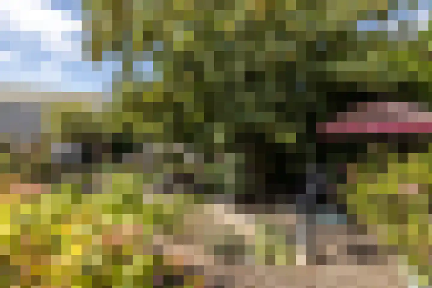 Mauritslaan 57 Geleen thumbnail 42