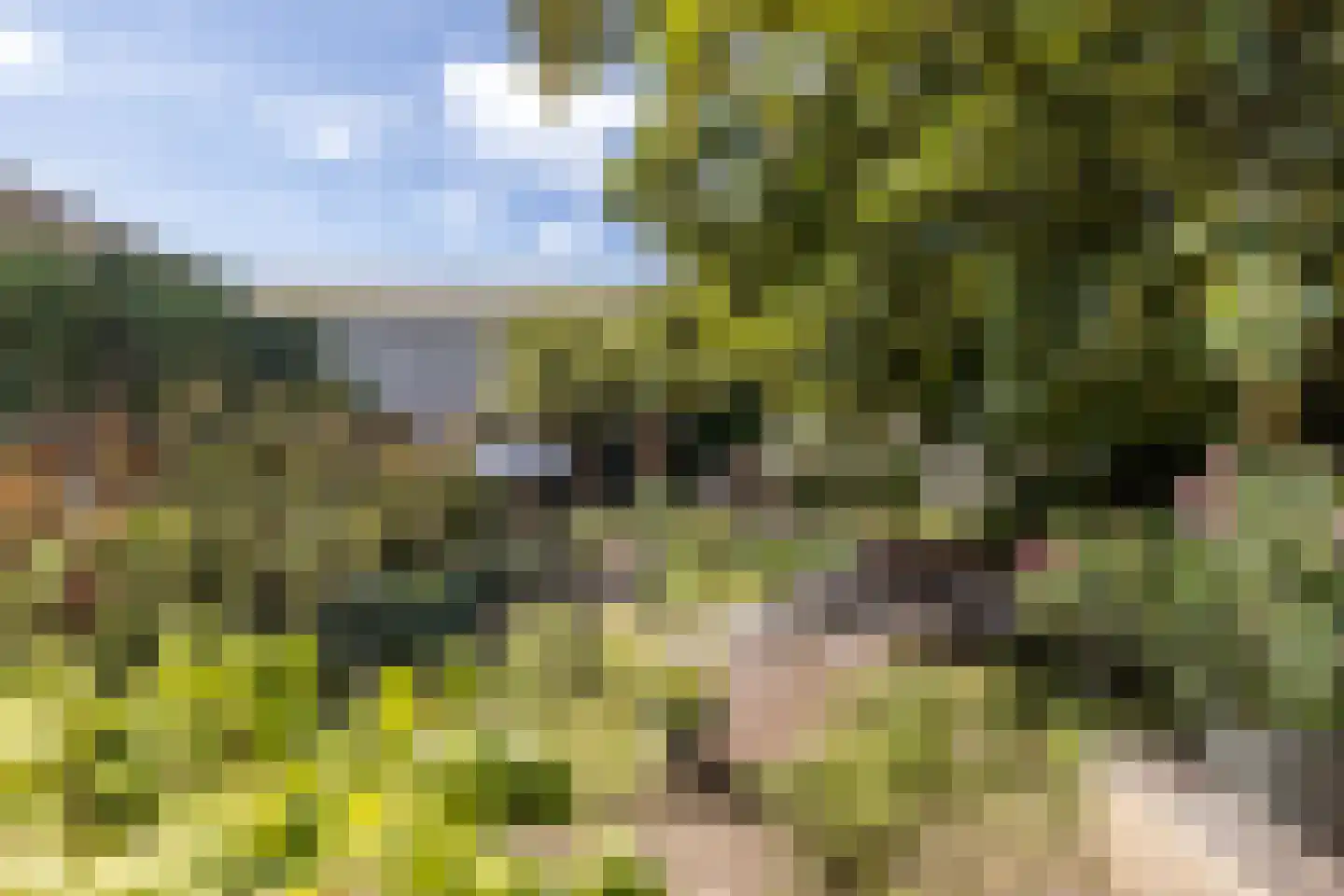 Mauritslaan 57 Geleen thumbnail 43