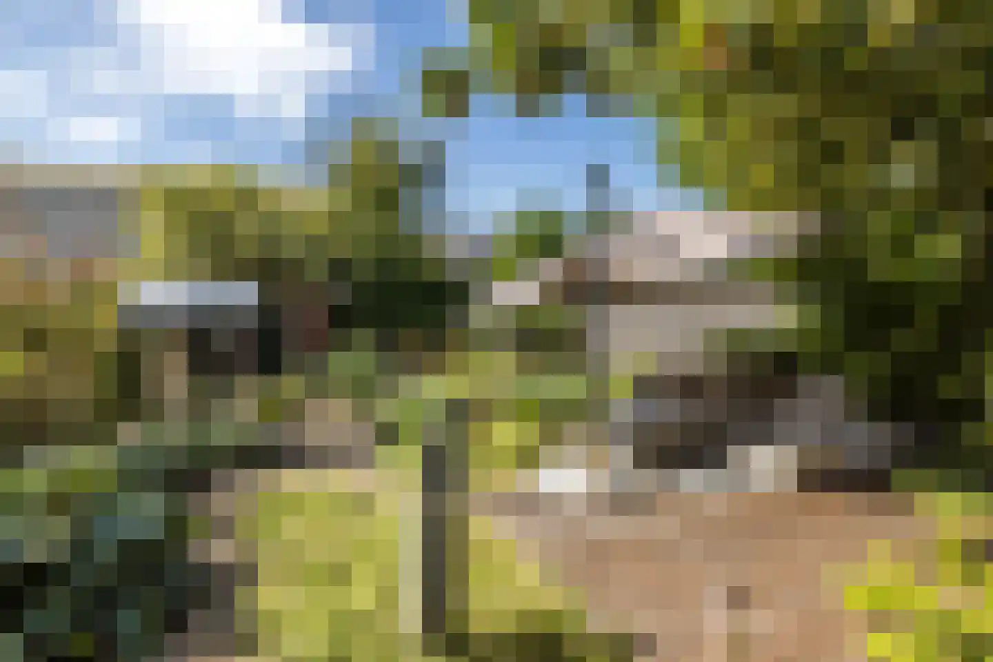 Mauritslaan 57 Geleen thumbnail 45