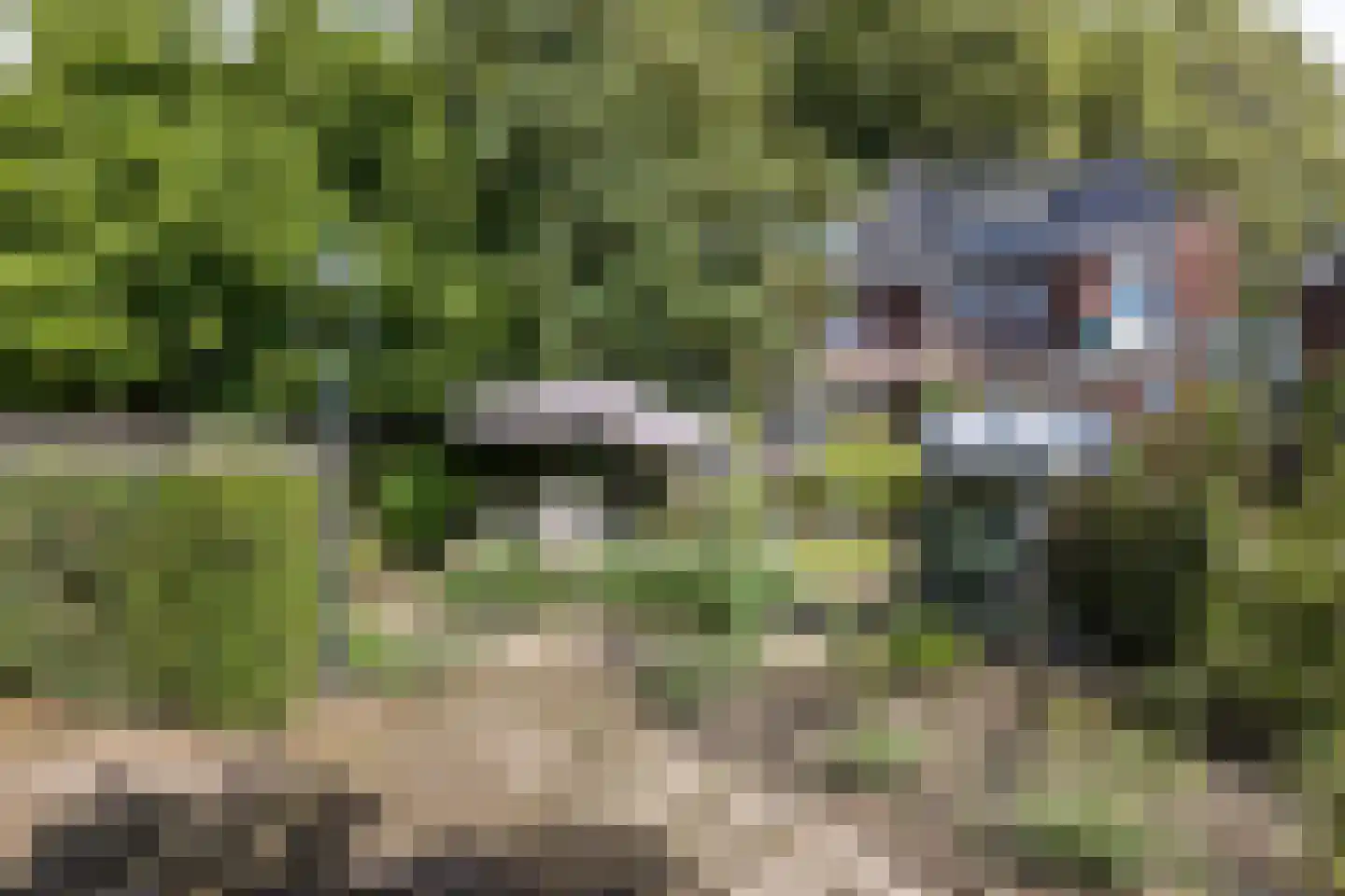 Mauritslaan 57 Geleen thumbnail 47
