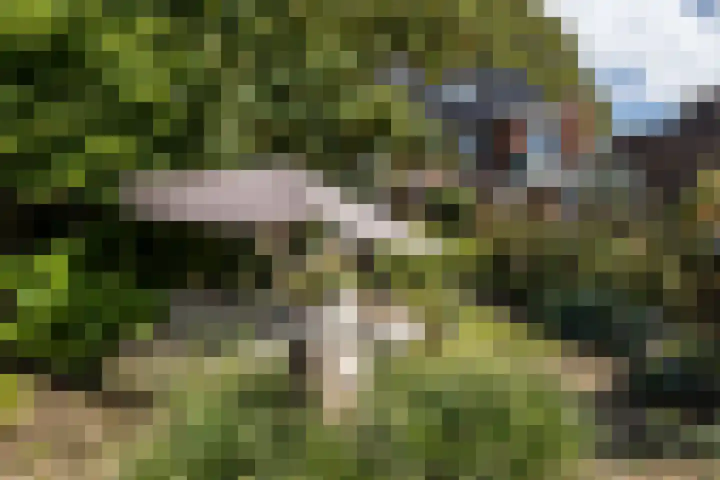 Mauritslaan 57 Geleen thumbnail 48