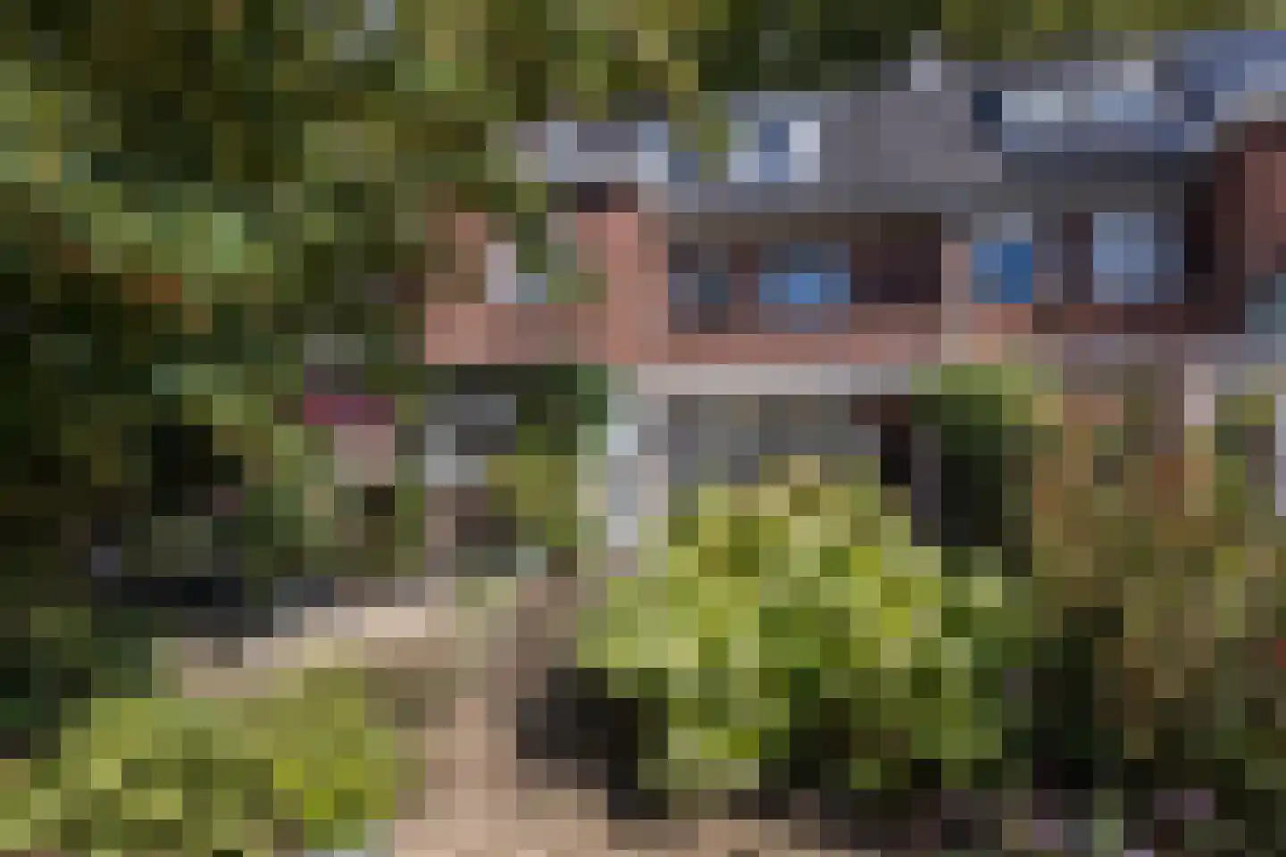 Mauritslaan 57 Geleen thumbnail 49