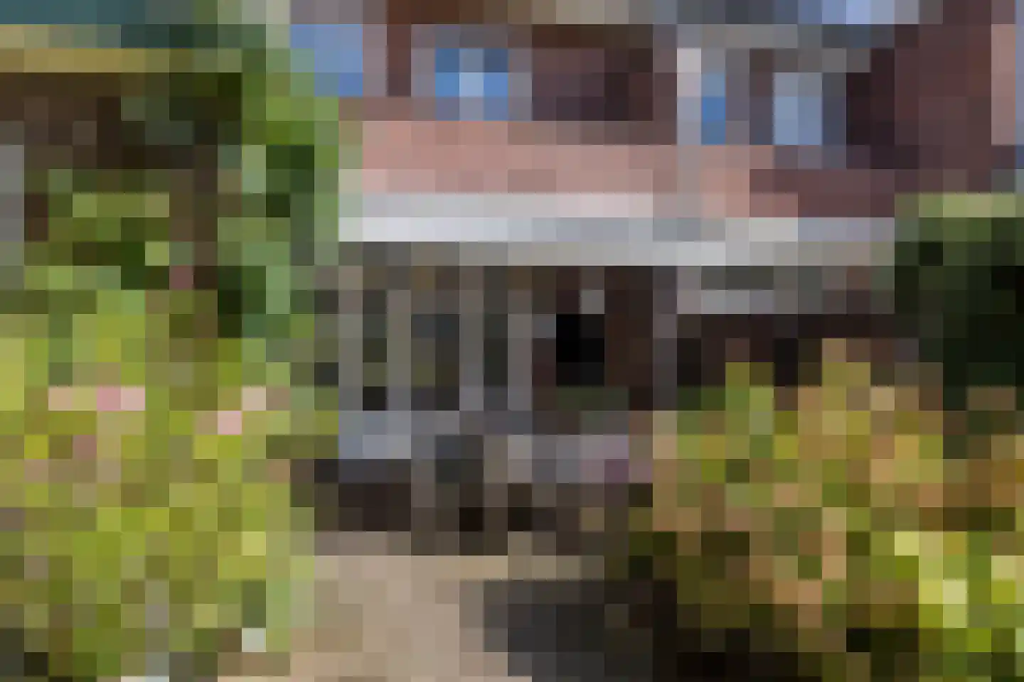 Mauritslaan 57 Geleen thumbnail 55