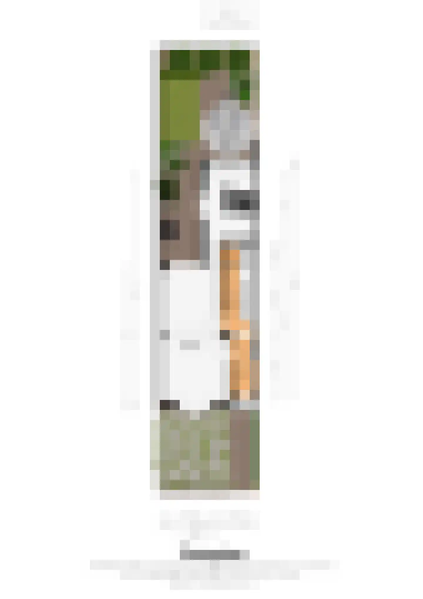 Mauritslaan 6 B Geleen thumbnail 28