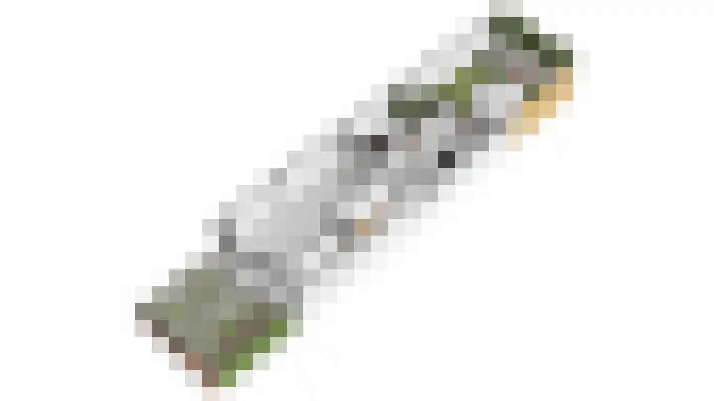 Mauritslaan 6 B Geleen thumbnail 29