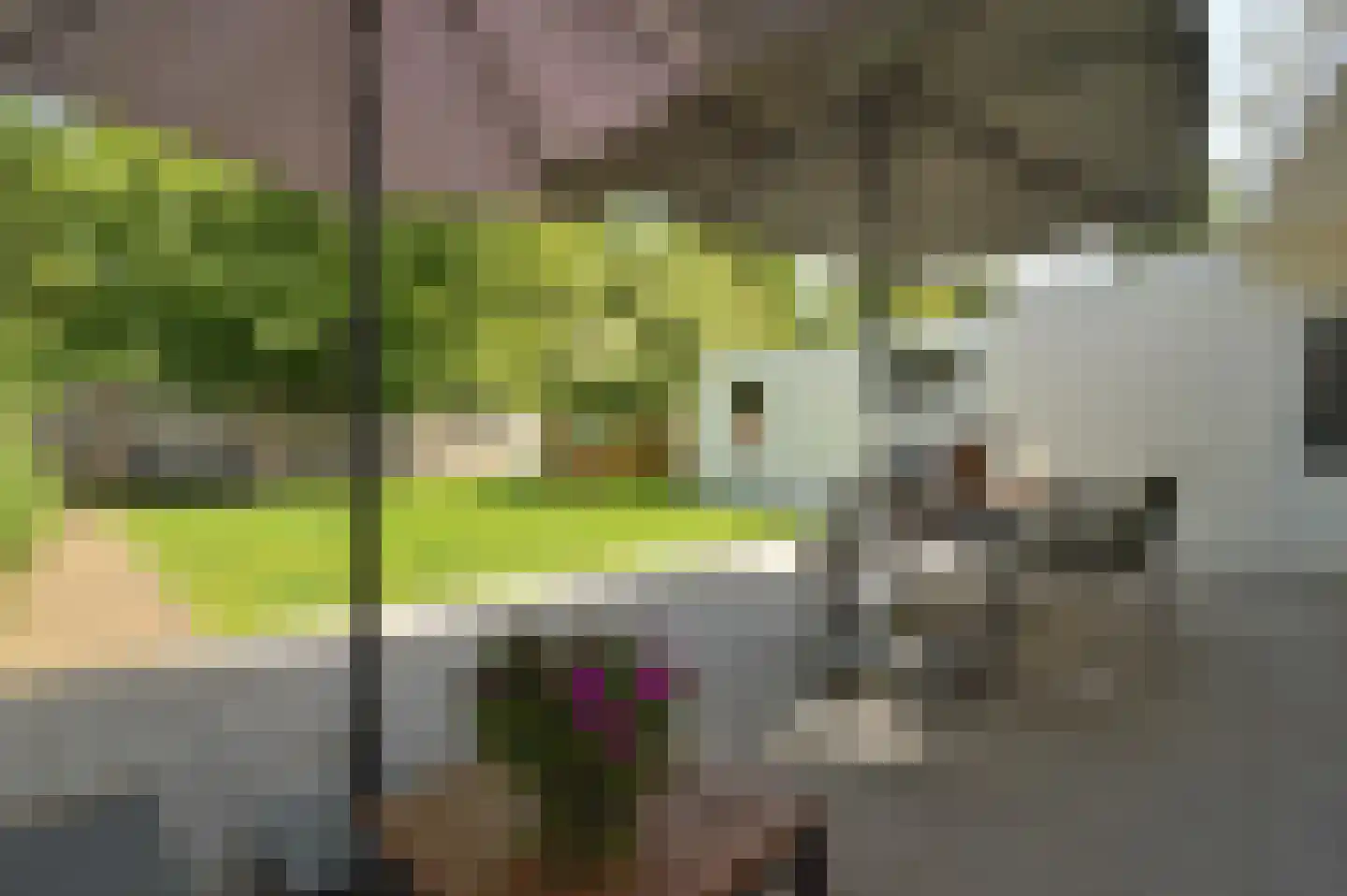 Mauritslaan 6 Landgraaf thumbnail 34