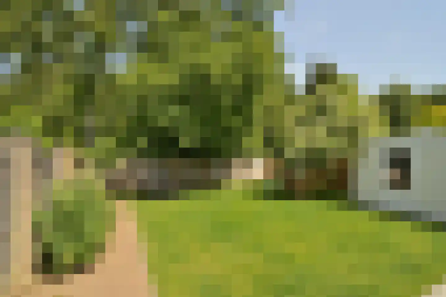 Mauritslaan 6 Landgraaf thumbnail 37