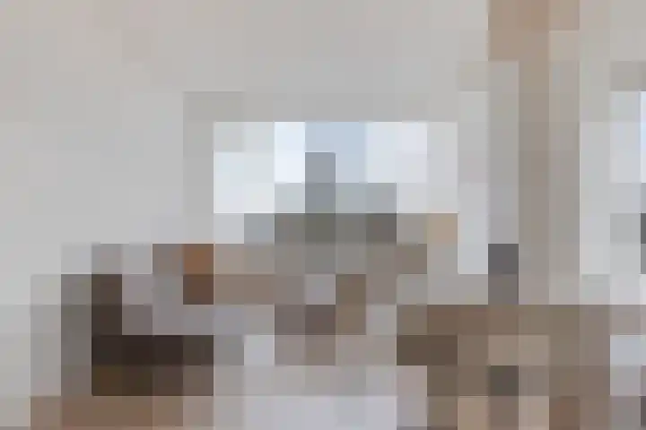 Mauritslaan 6 Waddinxveen thumbnail 11