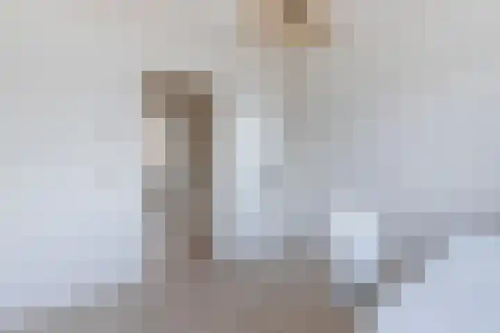 Mauritslaan 6 Waddinxveen thumbnail 34