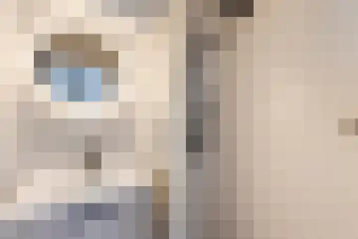 Mauritslaan 6 Waddinxveen thumbnail 37