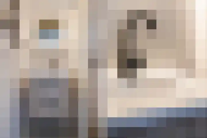 Mauritslaan 6 Waddinxveen thumbnail 38