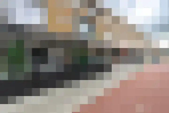 Mauritslaan 6 Waddinxveen thumbnail 44