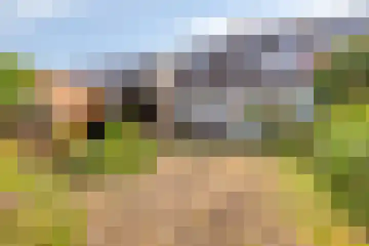 Mauritslaan 6 Zierikzee thumbnail 35
