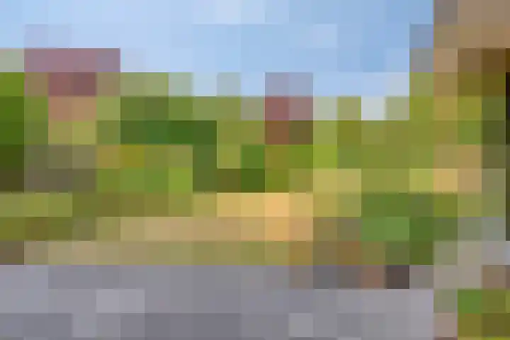 Mauritslaan 6 Zierikzee thumbnail 36