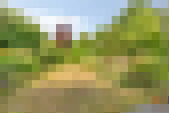 Mauritslaan 6 Zierikzee thumbnail 37