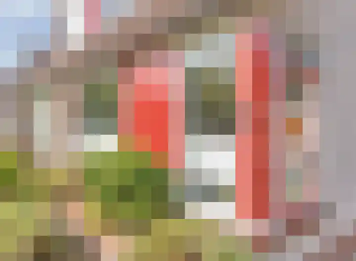 Mauritslaan 6 Zierikzee thumbnail 4