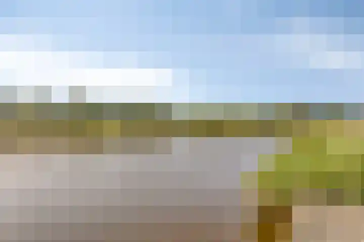 Mauritslaan 6 Zierikzee thumbnail 42