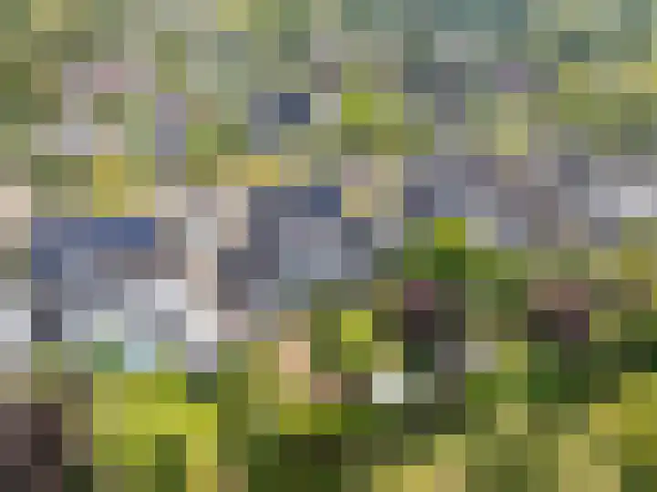 Mauritslaan 6 Zierikzee thumbnail 5