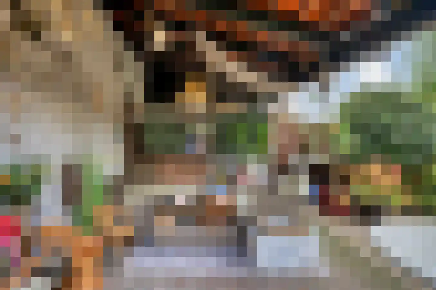 Mauritslaan 63 Geleen thumbnail 42