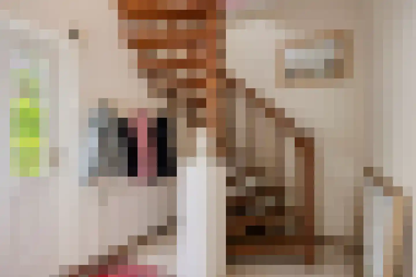 Mauritslaan 7 Oegstgeest thumbnail 10