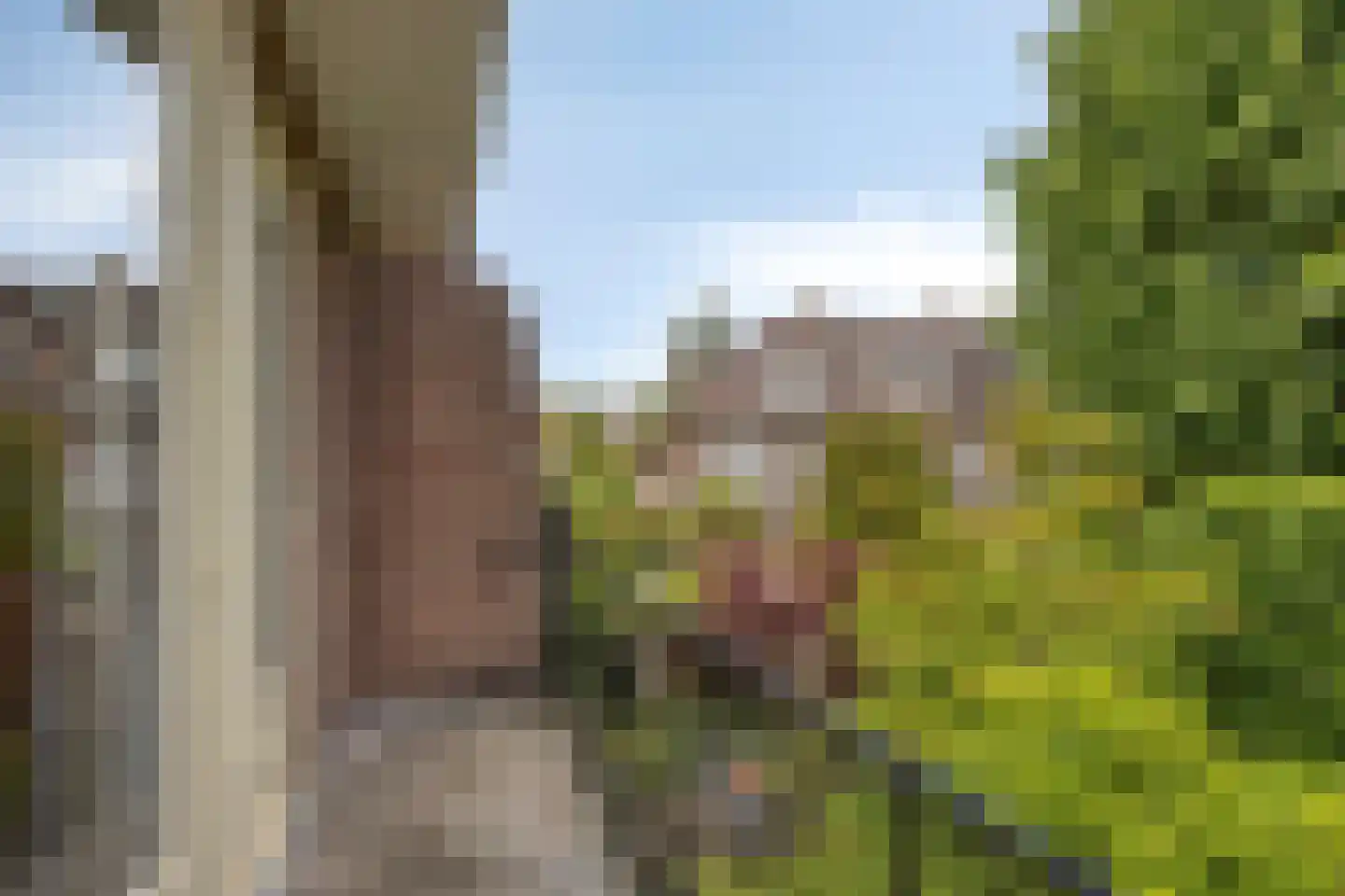 Mauritslaan 7 Oegstgeest thumbnail 33